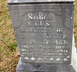 Sarah Louise James 