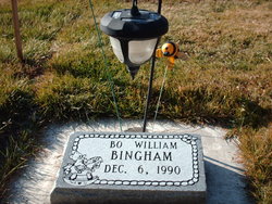 Bo William Bingham 