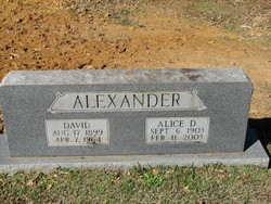 David Alexander 