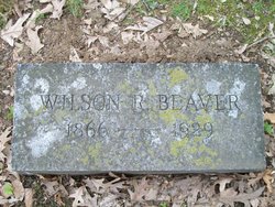 Wilson Robinson Beaver 