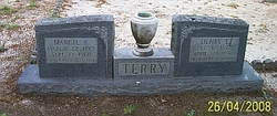 Henry Edward Terry 