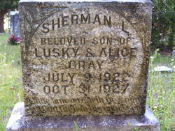 Sherman Lusky Gray 