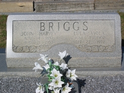 John Harvey Briggs 