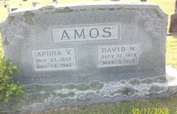 Aphra Vianna <I>Earp</I> Amos 