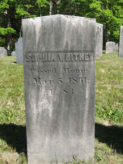 Sophia Whitney 