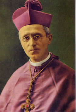 Bishop Stefano Aurelio Bacciarini 