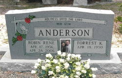 Robin Rene <I>Green</I> Anderson 
