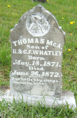 Thomas McAlister Whatley 
