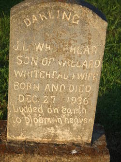 J L Whitehead 