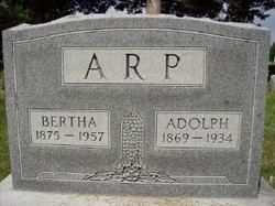 Bertha <I>Tietjens</I> Arp 