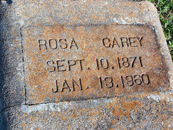 Rosa <I>Scarbourgh</I> Cary 