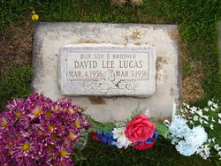 David Lee Lucas 