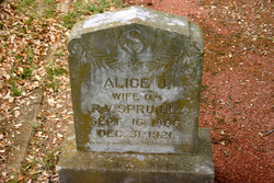 Alice J. <I>Pilgrim</I> Spruill 