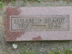 Julia Elizabeth <I>Moore</I> Brandt 