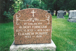 Albert William Finnegan 