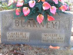 Charlie Lee Blakney 