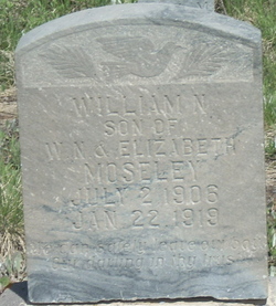 William M Moseley 