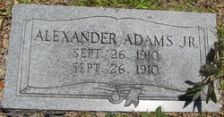 Alexander Adams Jr.