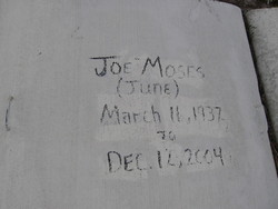 Joe Moses 