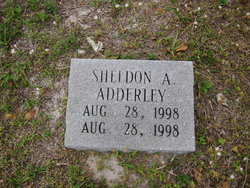 Sheldon A Adderley 