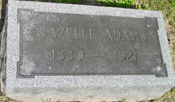 Gazelle “Gazella” <I>Romerill</I> Adams 