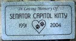 Senator Capitol Kitty 