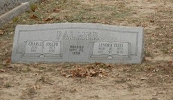 Lenora Ellis Palmer 