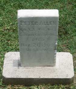 Peter Allen 