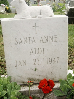 Santa Anne Aloi 