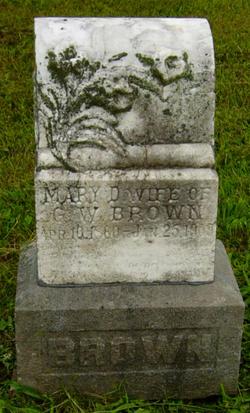 Mary Drucilla <I>Davis</I> Brown 