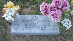James Lewis Owens 