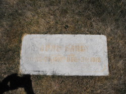 June Carey 