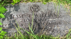Jesse T Williams 