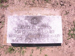 David R. Cowan 