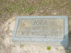 Zora <I>Works</I> Whisenant 