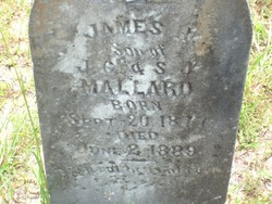 James H. Mallard 