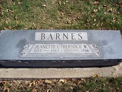Jeanette “Nettie” <I>Crook</I> Barnes 
