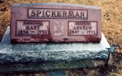 Mary E. <I>Wells</I> Spickerman 