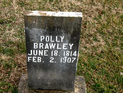 Mary “Polly” <I>Hittson</I> Brawley 