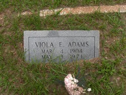 Viola <I>Estes</I> Adams 