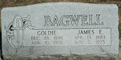 James E Bagwell 
