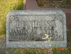 James Alexander Bushong 