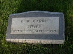 Carrie Washington Joyce 