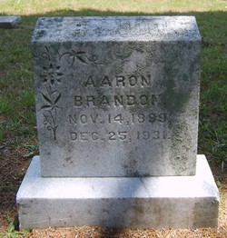 Aaron Lee Brandon 