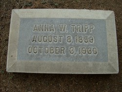 Anna Ward <I>Pittman</I> Tripp 