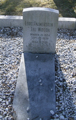 Lord Palmerston II “The Wooda” Porter 