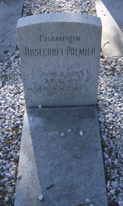 Ch. Rosecroft Premier Porter 