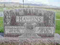 John Carl Hawkins 