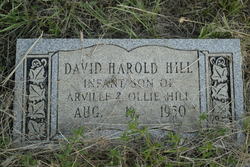 David Harold Hill 