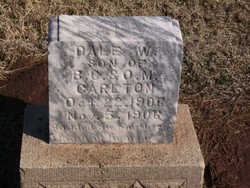 Dale W Carlton 